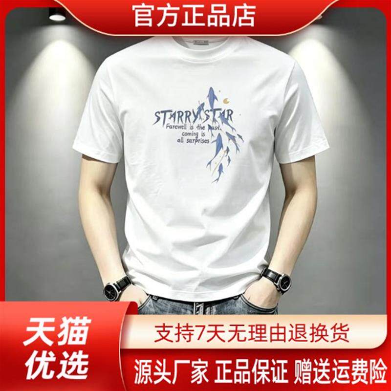 仕咖服装Amphelisia短袖夏季潮牌休闲运动T恤半袖重磅圆领t恤男士