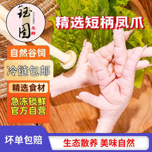 4斤鸡凤爪短柄鸡爪不带拐新鲜冷冻红烧卤味烧烤商用批发1斤