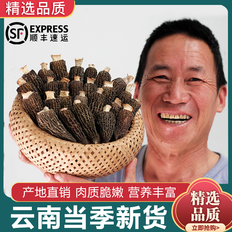 今年新货  肉厚肥大 菌香浓郁 旗舰品质