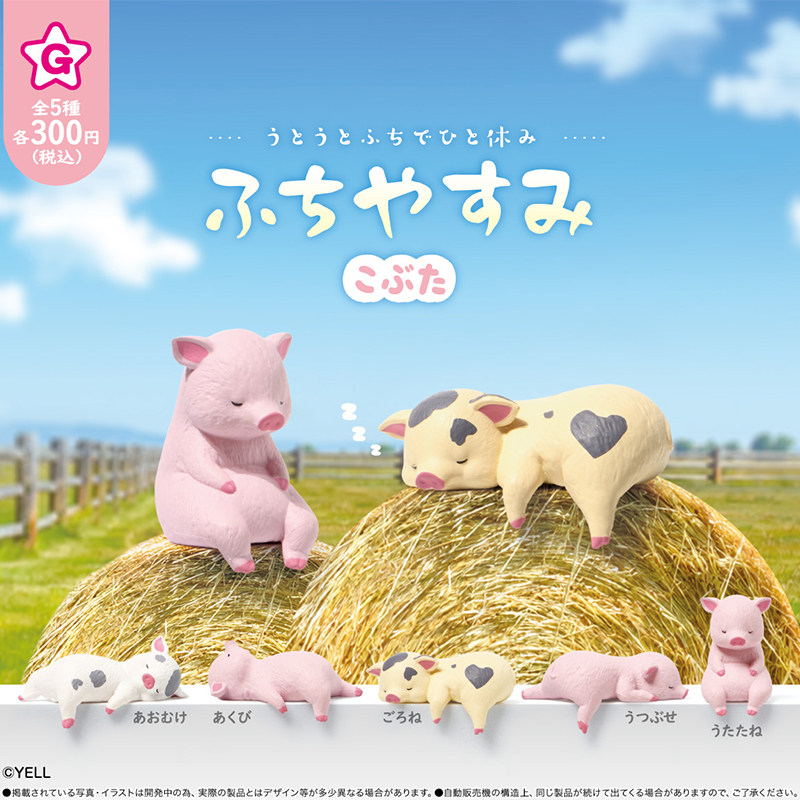 预售×日本正版YELL 边缘午后休息的小猪扭蛋 可爱造型懒猪摆件