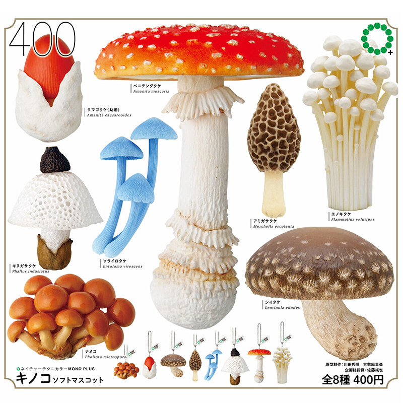 日本正版IKIMON 第1弹 蘑菇类挂件扭蛋 毒蝇伞金针菇菌菇香菇吊饰