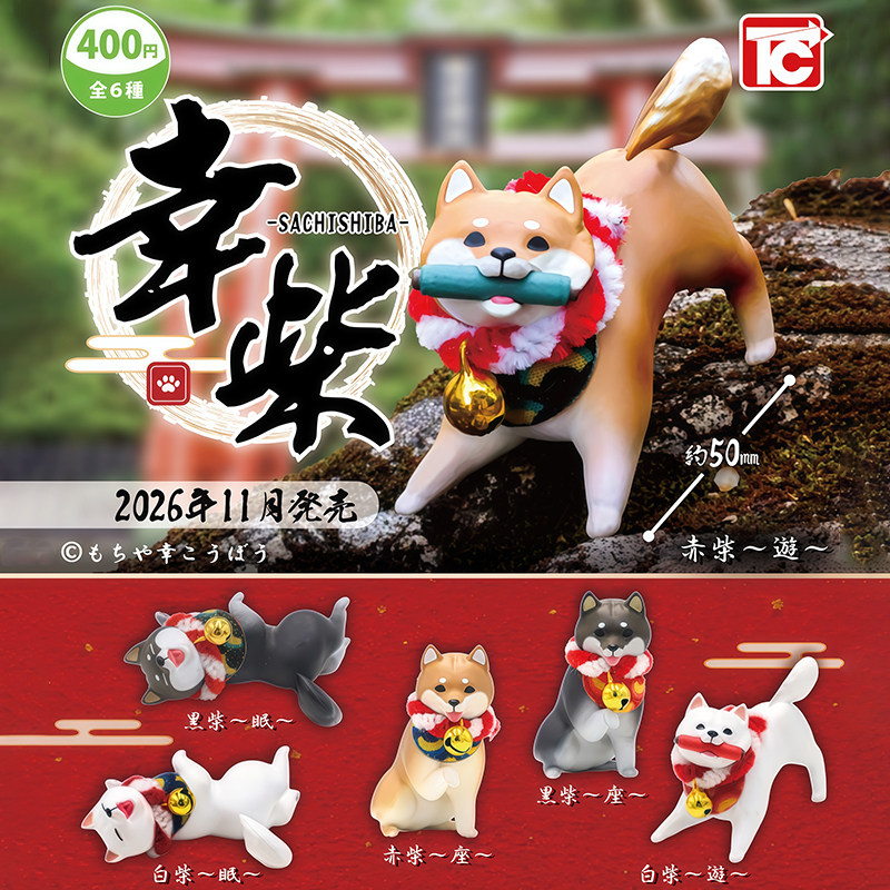 日本正版TOYSCABIN柴犬的日常