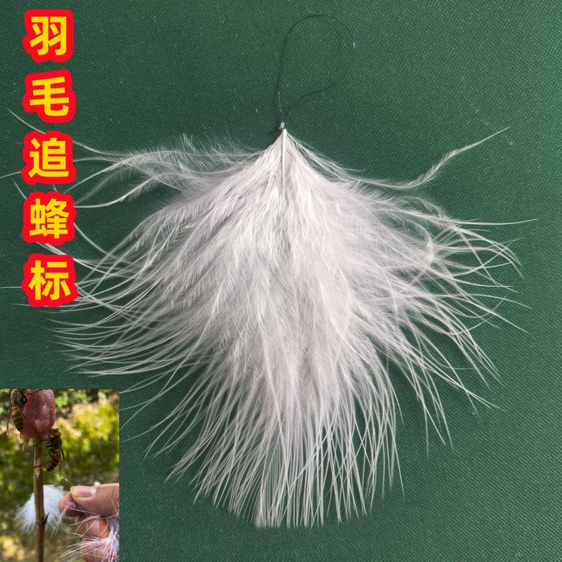 马蜂追蜂标好找红米金环自动超薄虎头蜂胡蜂红娘神器七里黑尾黑黄