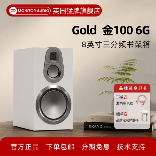 金100三分频HiFi进口书架音箱