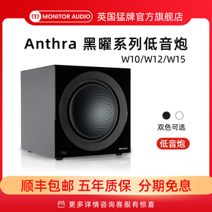 Monitor 英國猛牌Anthra黑曜有源低音炮音響10寸12寸15寸 Audio