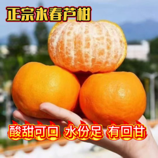 福建正宗永春芦柑当季水果肉嫩多汁营养丰富蜜桔有回甘破损包赔