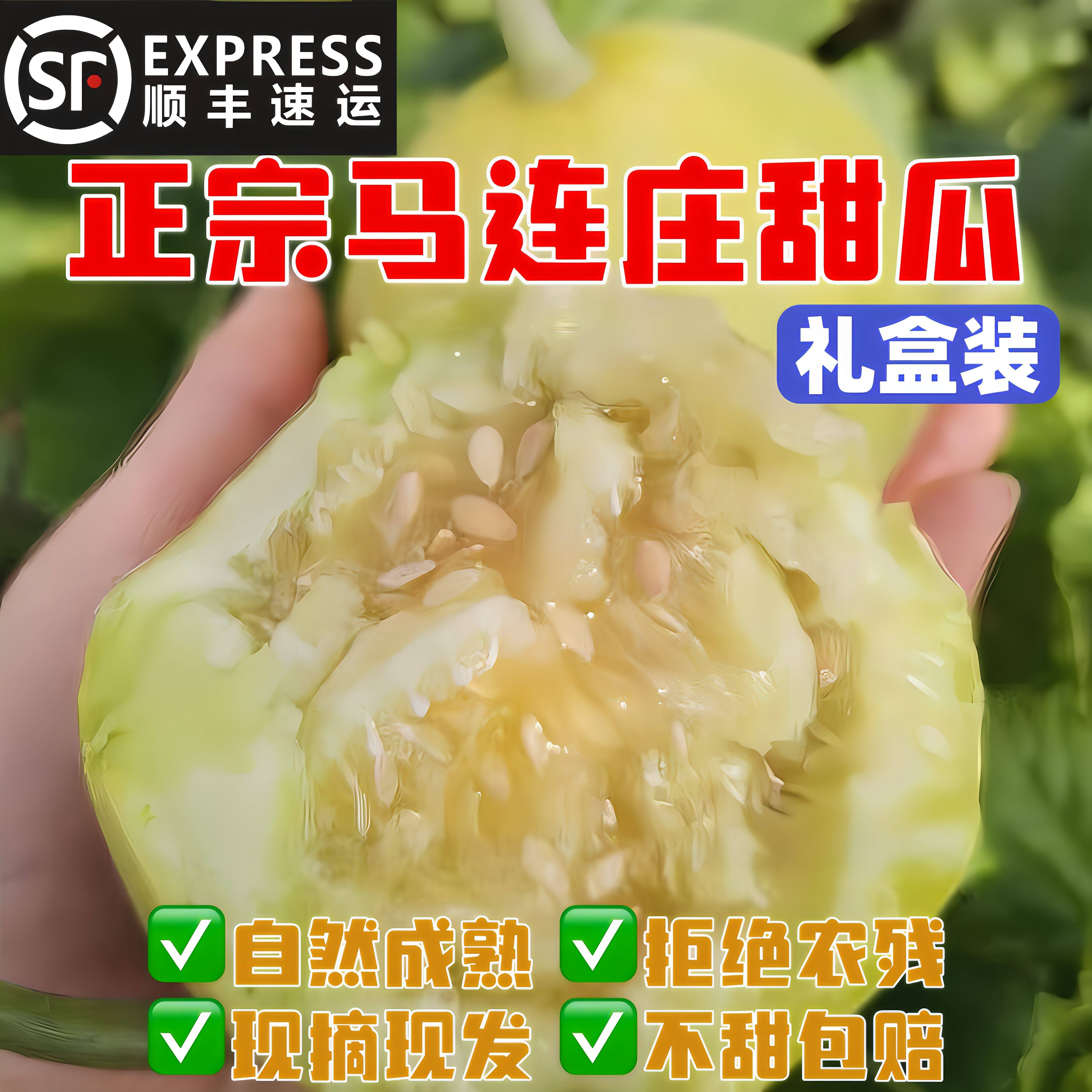 顺丰包邮正宗马连庄甜瓜自然成熟当季新鲜孕妇宝宝水果脆甜多汁