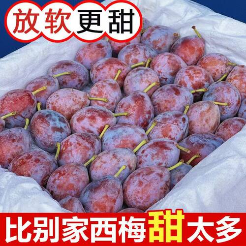 正宗新疆法兰西西梅 纯甜 2/4斤装新鲜应季水果现货现发