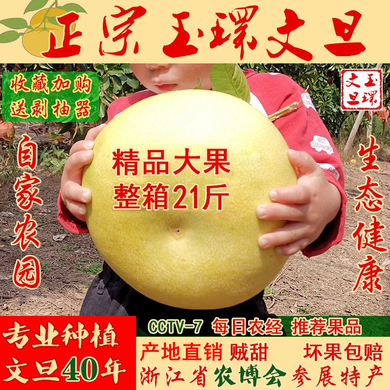 正宗玉环文旦柚子浙江台州楚门蜜柚当季新鲜特产孕妇儿童水果直销