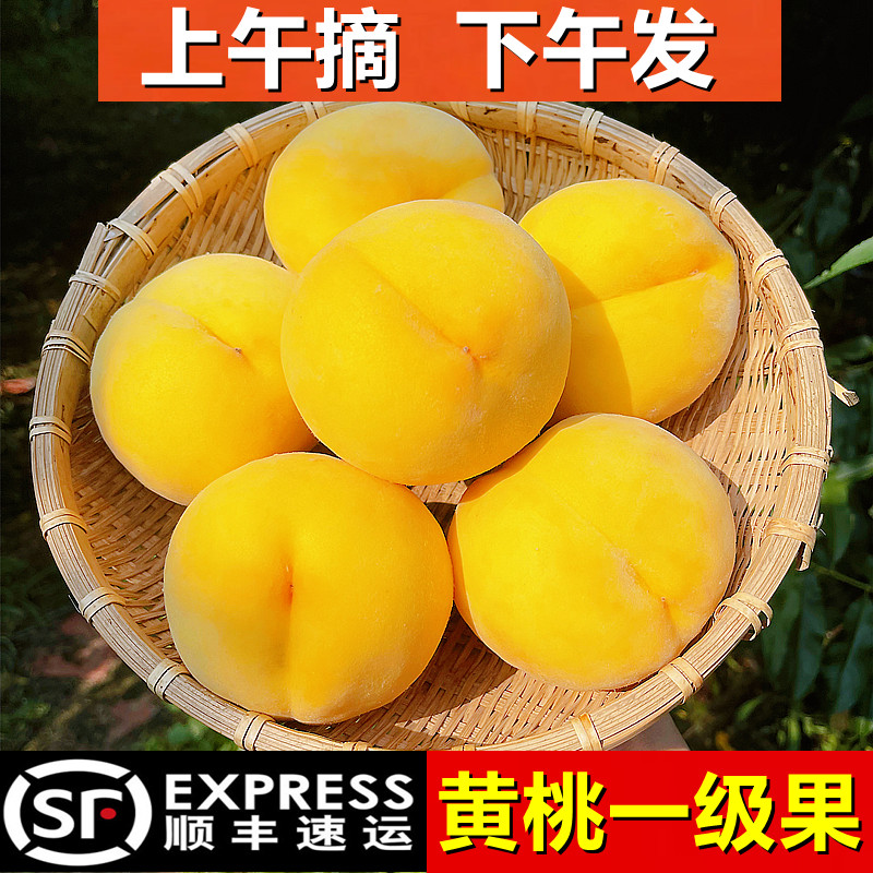 黄桃新鲜水果当季整箱孕