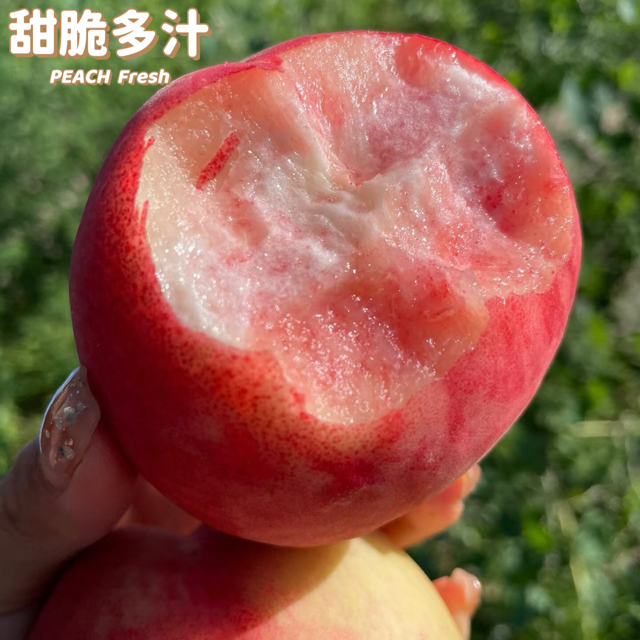 正宗北京平谷大桃水蜜桃
