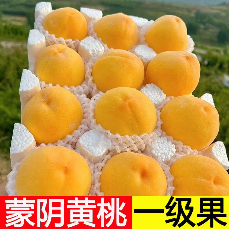 蒙阴黄桃黄金蜜桃果当季
