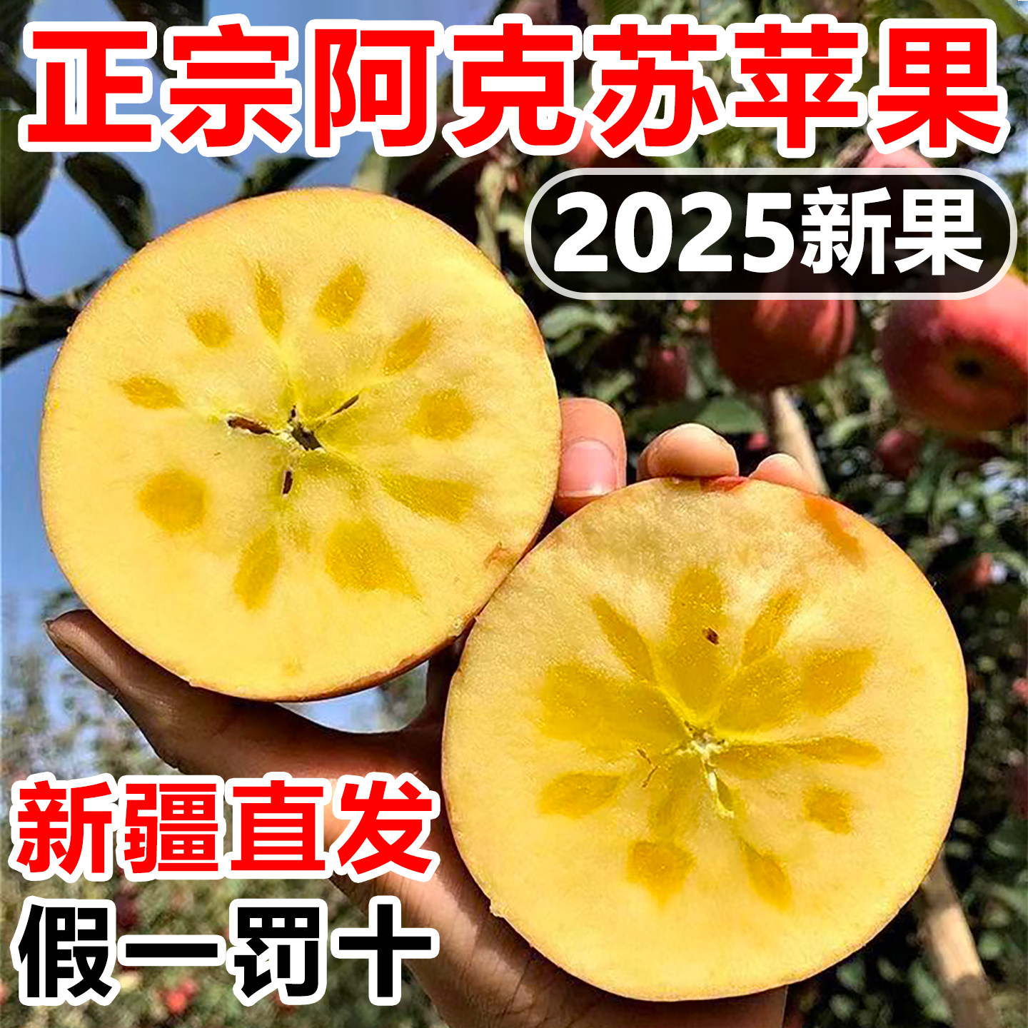 正宗新疆阿克苏苹果冰糖心新鲜水果产地直发甜过大凉山丑苹果整箱