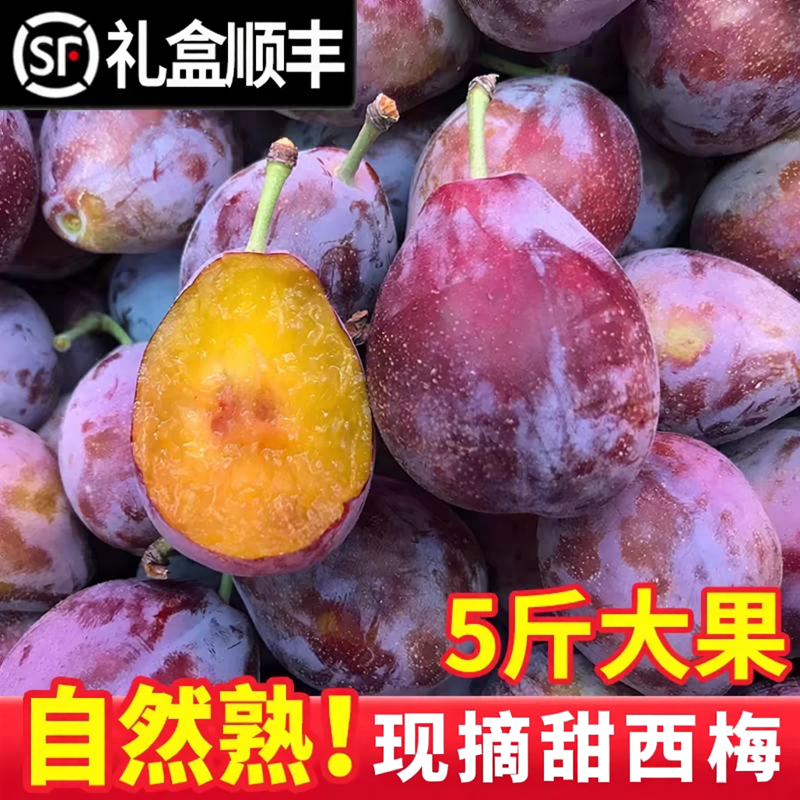 新鲜西梅5斤进口品种鲜果