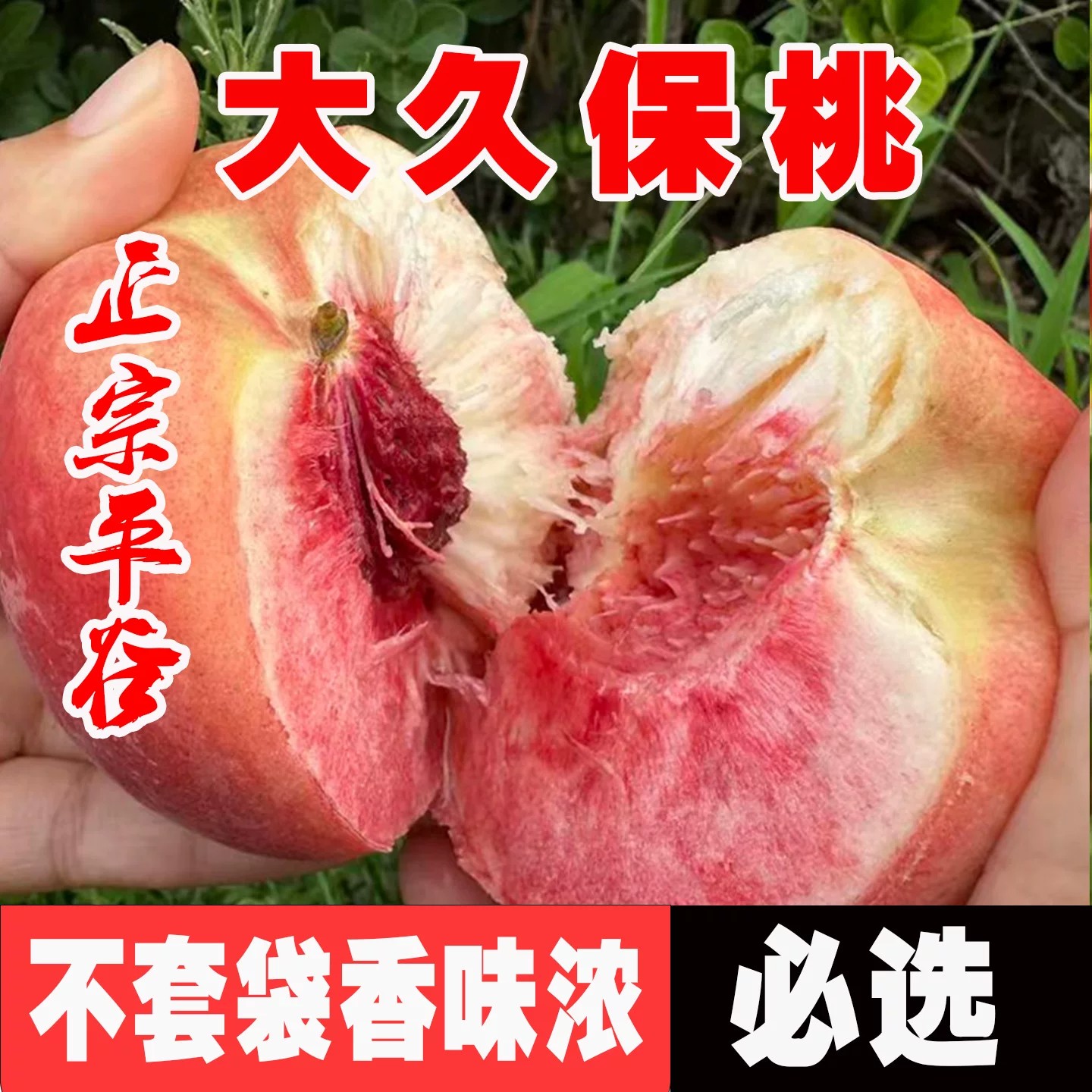 北京平谷大桃子离核桃水