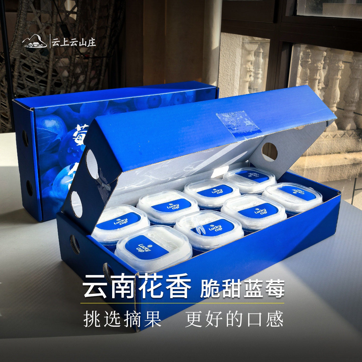 当季云南抚仙湖花香蓝莓鲜果特大果纯甜新鲜水果脆甜小蓝杯礼盒装