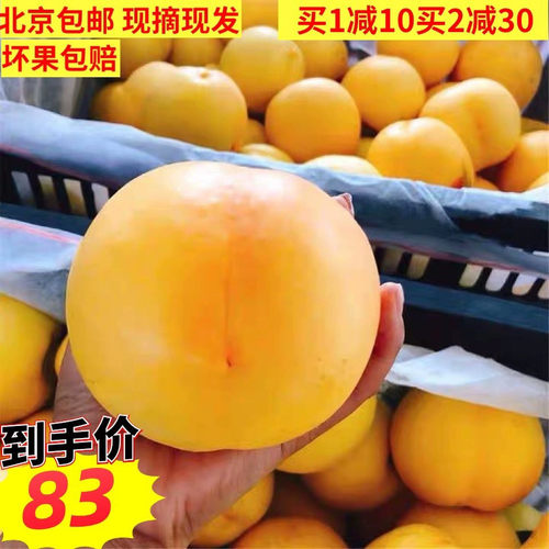 北京平谷大桃精品黄油桃
