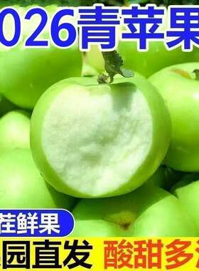 山西新鲜青苹果10水果整