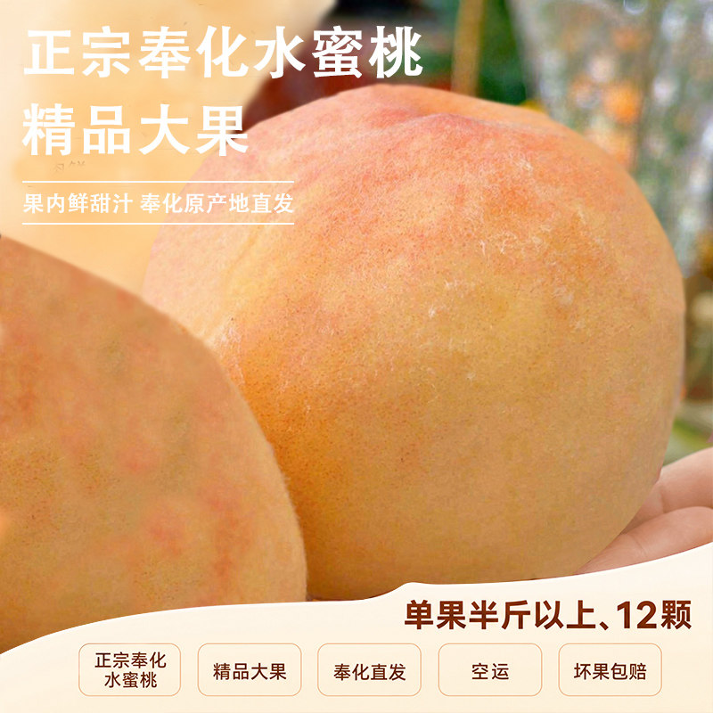 正宗宁波奉化水蜜桃湖景