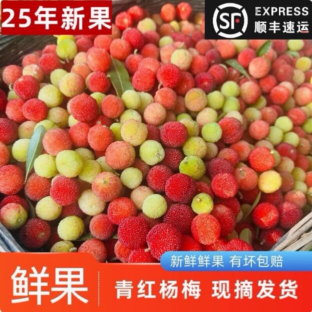 现摘青红杨梅鲜果贵州云南新鲜水果野杨梅酸扬梅洋梅泡酒专用10斤