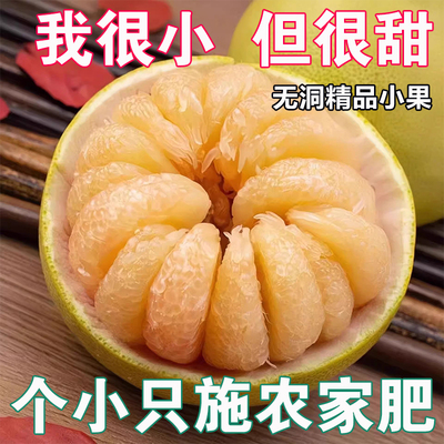 度尾文旦柚红心柚仙游30年老树红心蜜柚现摘当季孕妇水果柚子10斤