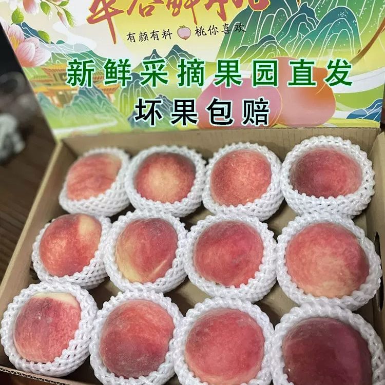 现货水蜜桃当季新鲜水果