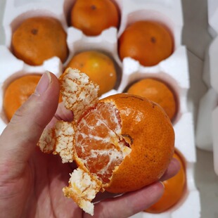 正宗涌泉蜜桔新鲜带花斑只是卖相不好看而已 口感一样 促销卖完无