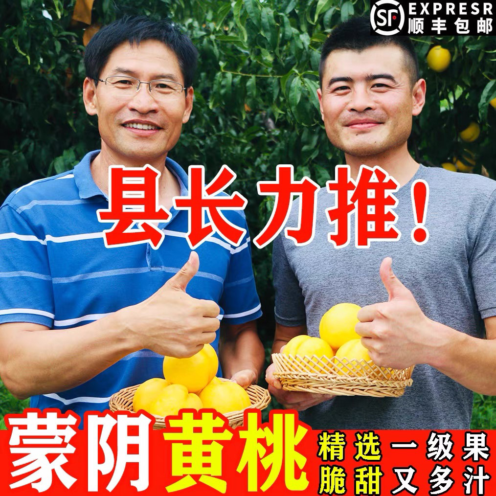 黄桃新鲜水果山东蒙阴黄