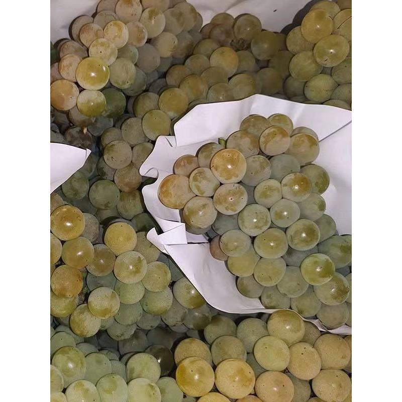 湖南水晶葡萄新鲜当季水