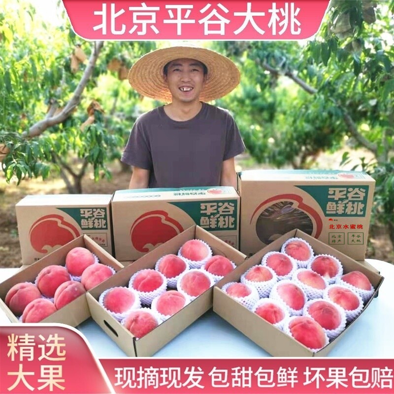 正宗北京平谷大桃水蜜桃
