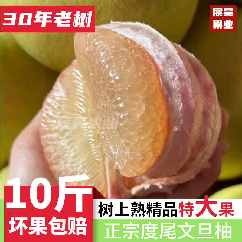【30年老树】正宗福建度尾红心文旦柚孕妇应季柚子水果10斤装包邮