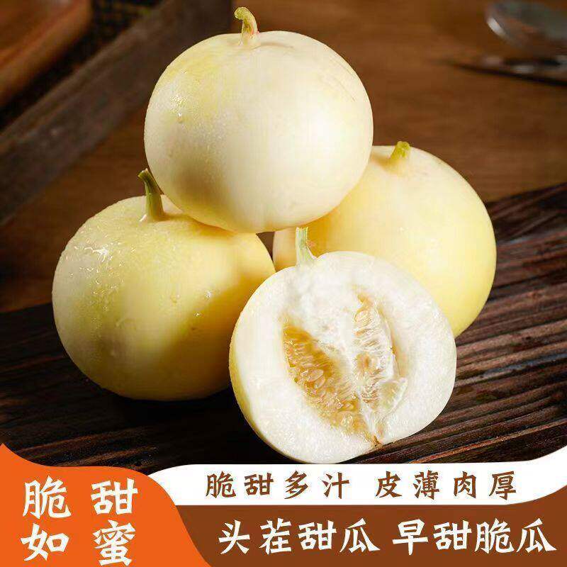 山东头茬早甜脆甜瓜星甜小蜜蜂甜瓜蜜罐香瓜新鲜脆瓜水果整箱包邮