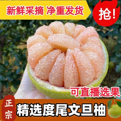 正宗福建度尾文旦柚老树果红心柚子新鲜水果应季水果孕妇时令包邮