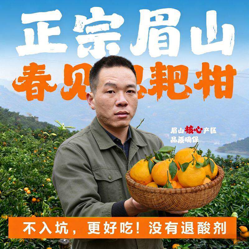 老兵严选正宗四川眉山耙耙柑新鲜春见粑粑柑特级橘子水果现摘发货