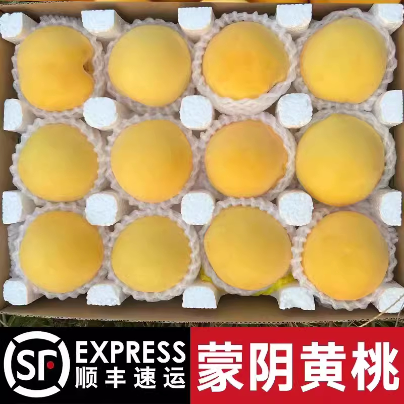顺丰山东蒙阴黄桃正宗现