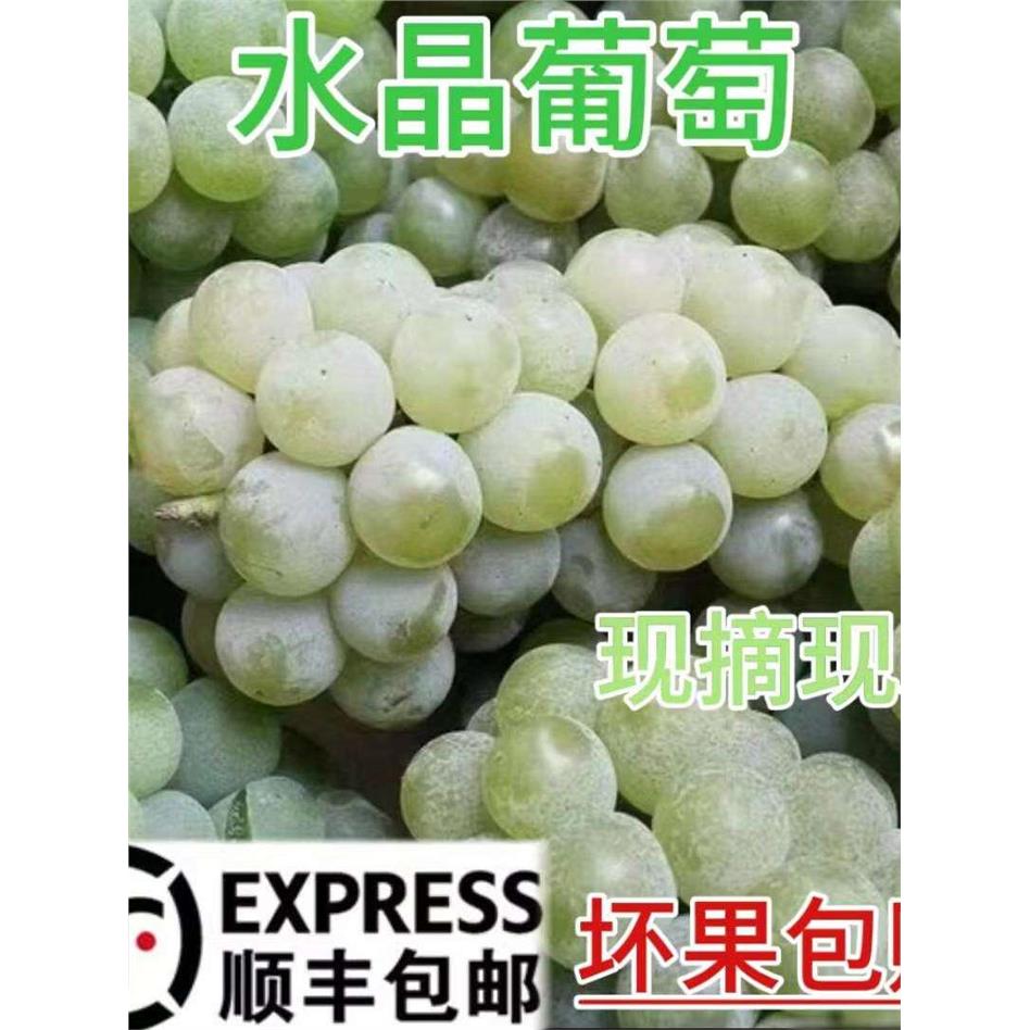 【顺丰包邮】湖南水晶葡