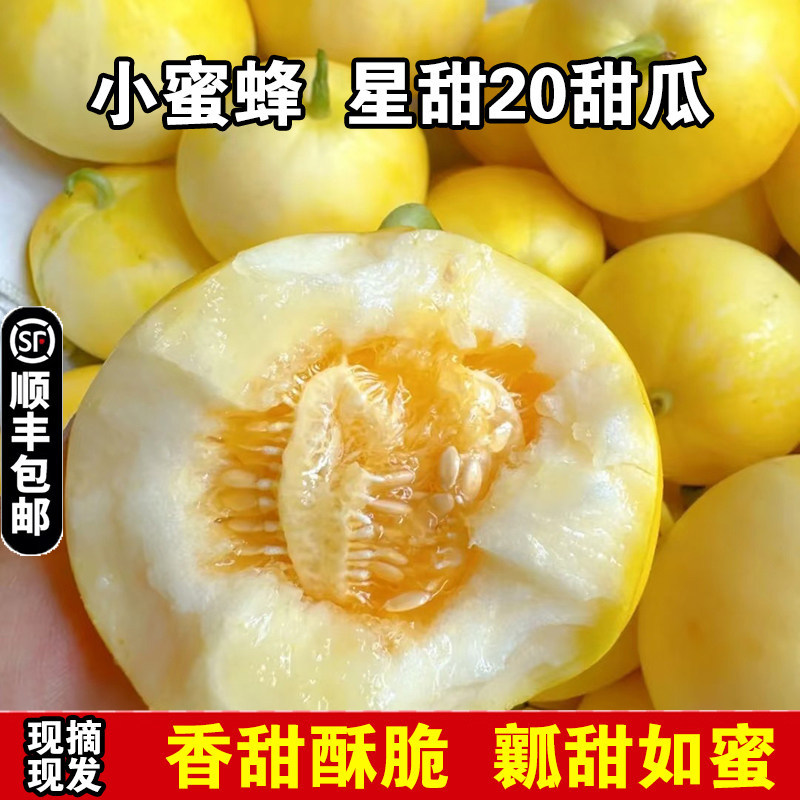 山东头茬小蜜蜂甜瓜星甜20蜜罐甜瓜新鲜香瓜水果现摘现发顺丰包邮