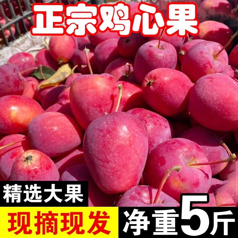 东北特产鸡心果沙果锦绣海棠果应当季孕妇水果整箱包邮小苹果5斤,水产肉类/新鲜蔬果/熟食,苹果,淘宝优惠券,粉丝福利购,淘宝优惠卷