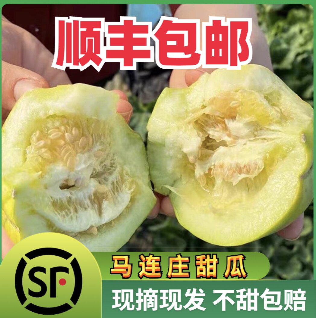 马连庄甜瓜香瓜当季新鲜水果甜宝香瓜甜瓜绿宝非羊角蜜罐甜脆香甜