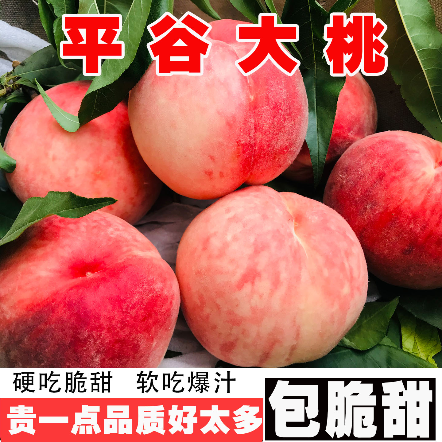 北京平谷大桃子水蜜桃当