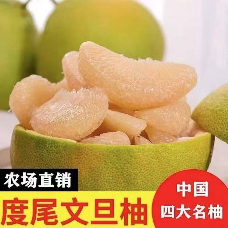 正宗度尾文旦柚子福建莆田仙游红心文旦柚孕妇新鲜水果青柚包邮