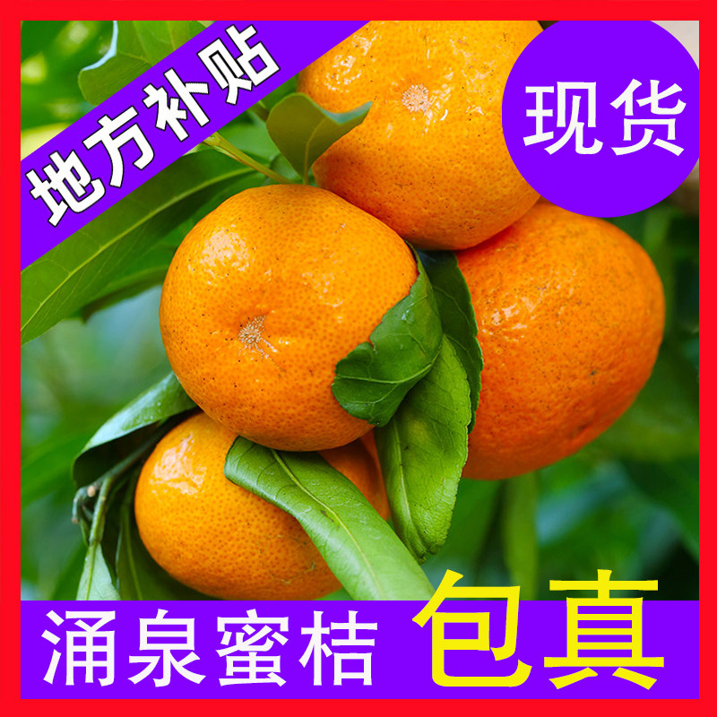 正宗台州临海涌泉蜜桔黄岩蜜桔橘子新鲜水果10斤整箱官方旗舰店