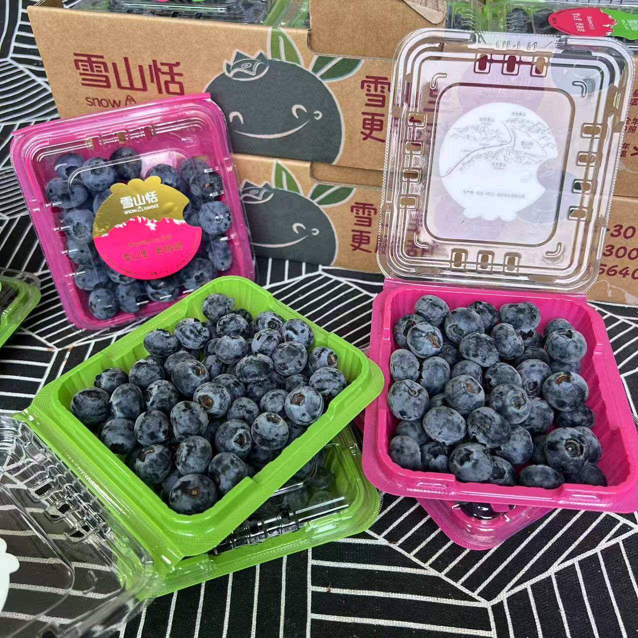 乐鲜果园雪山恬蓝莓大果当季新鲜蓝莓孕妇水果宝宝副食品