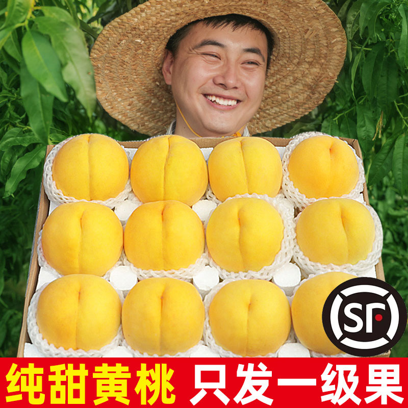 蒙阴黄桃黄金蜜桃水果当