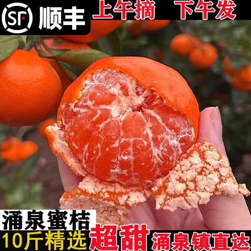 正宗临海涌泉蜜桔10斤黄岩蜜橘当季新鲜现摘孕妇水果整箱无核橘子