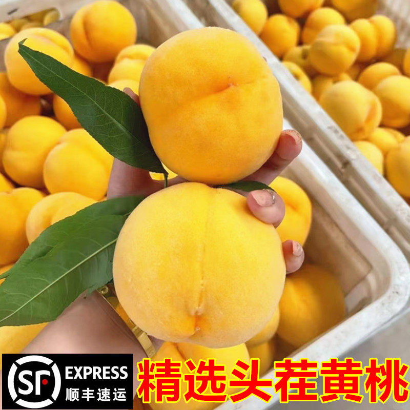 黄桃新鲜黄金蜜锦绣山东