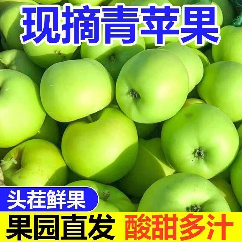 山西青苹果新鲜水果9斤当