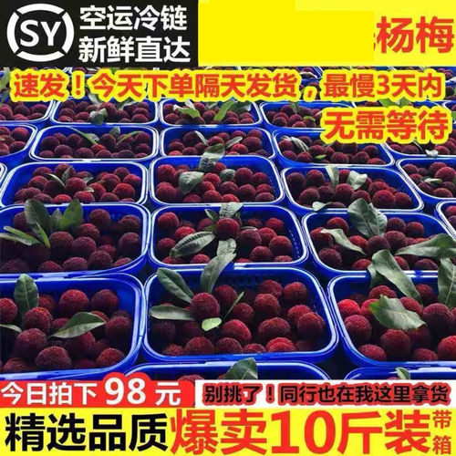 顺丰2025年冷冻新鲜杨梅新鲜东魁水晶大杨梅顺丰孕妇水果泡酒