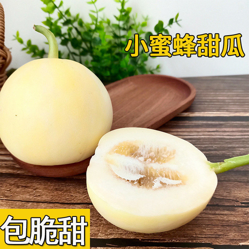 新品种正宗山东小蜜蜂甜瓜新鲜应季水果济宁喻屯早甜脆香瓜小蜜罐