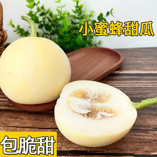 新品种正宗山东小蜜蜂甜瓜新鲜应季水果济宁喻屯早甜脆香瓜小蜜罐